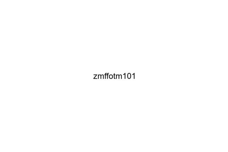 zmffotm101 1