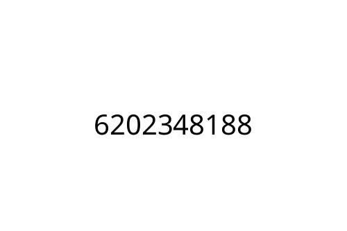 6202348188