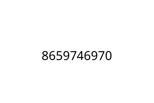 8659746970