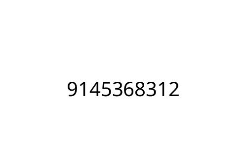 9145368312