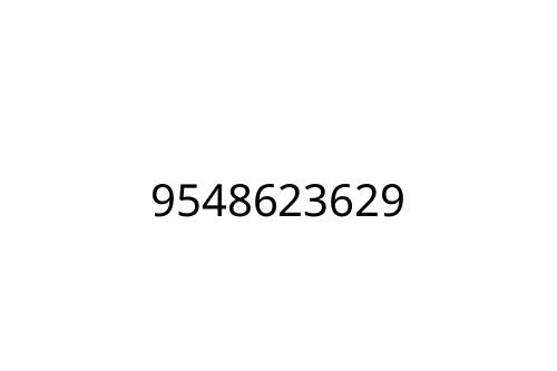 9548623629