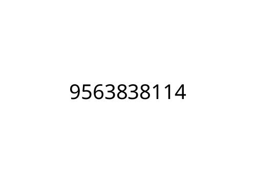 9563838114