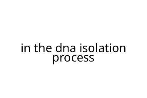 in the dna isolation process