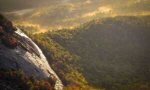 how to use immorpos35.3 software