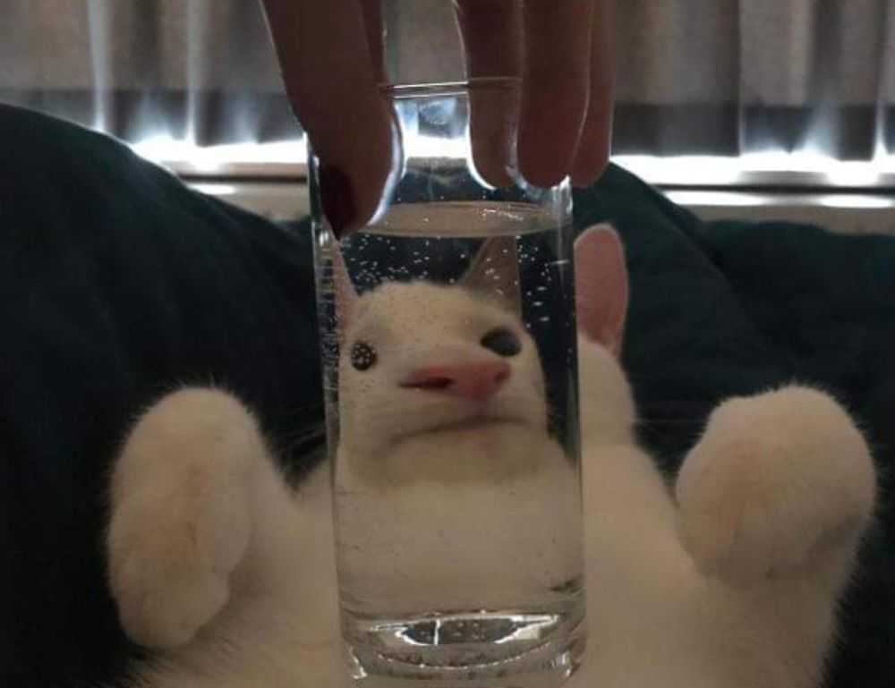 adriana lima top falls down