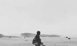 daytime star mangabuddy