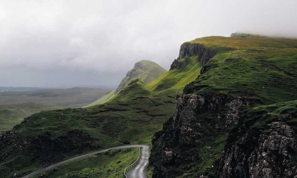 kleurplaat paperduck