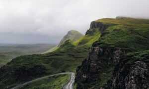 kleurplaat paperduck