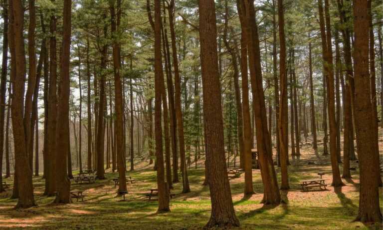 link telegram viral 2023 malaysia