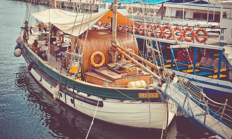 mydoterra login nederlands