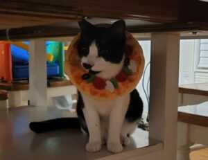 riley mae lewis nude