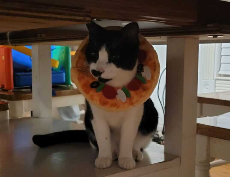 riley mae lewis nude