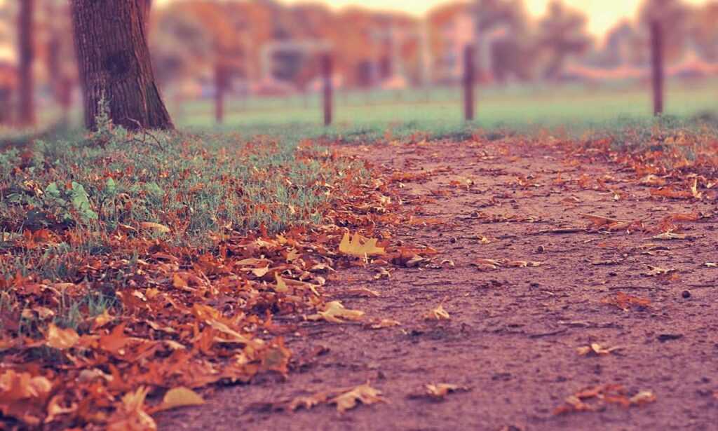 wallpaper:cn3ispl8wgc= cinnamoroll