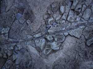 Can I Catch Pavatalgia