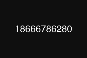 18666786280