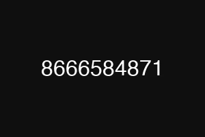 8666584871