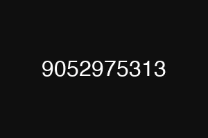 9052975313