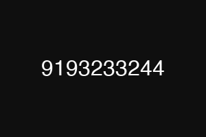 9193233244