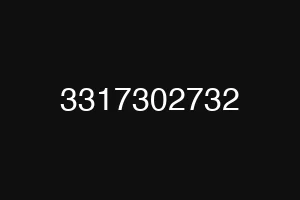 3317302732