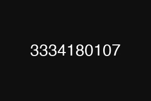 3334180107