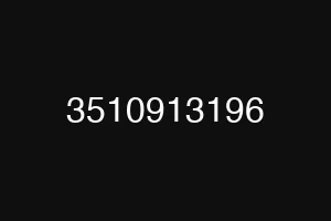 3510913196