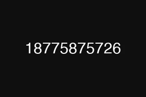 18775875726