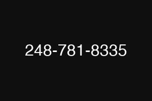 248-781-8335