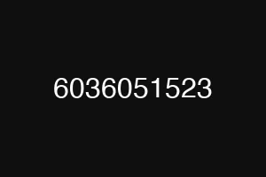 6036051523
