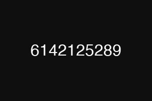6142125289