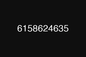 6158624635