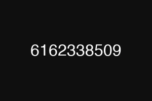 6162338509