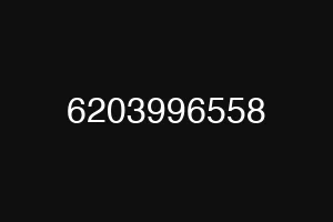 6203996558