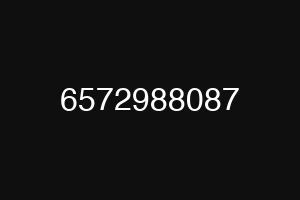 6572988087