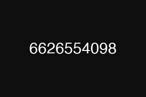 6626554098