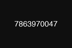 7863970047