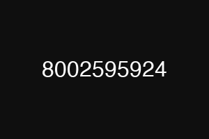 8002595924