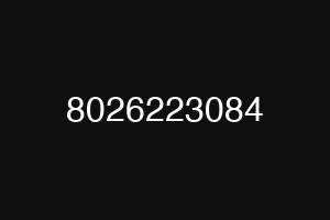 8026223084