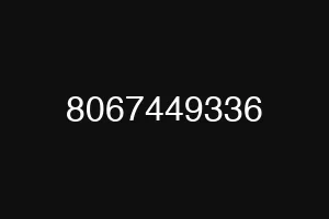 8067449336
