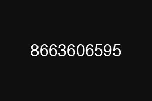 8663606595