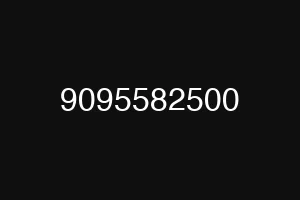 9095582500