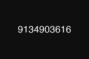 9134903616